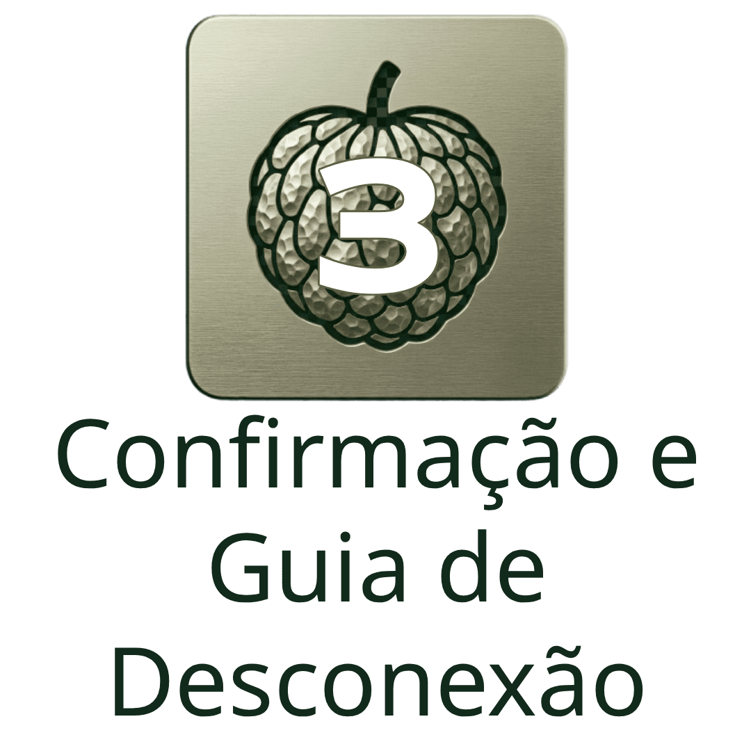 terraco-do-conde-etapas-modulo-visual-confirmacao-e-guia-de-desconexao