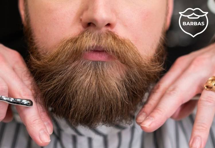 imagem-para-pagina-projetos-barbearia-750x515